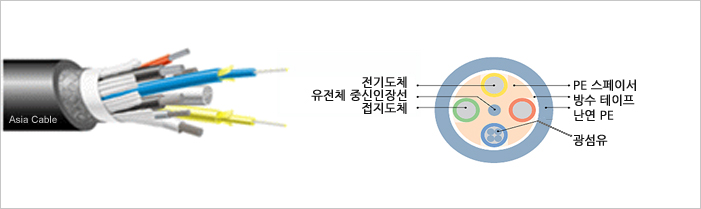 �����������̺�