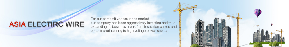 Asia electirc wire, For our competitiveness in the market, our company has been aggressively investing and thus expanding its business areas from insulation cables and chords manufacturing to high voltage power cables.